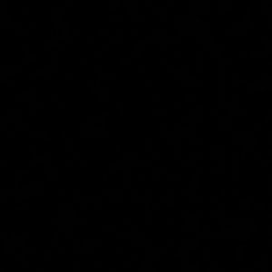 Meet your Posher, Ddelia